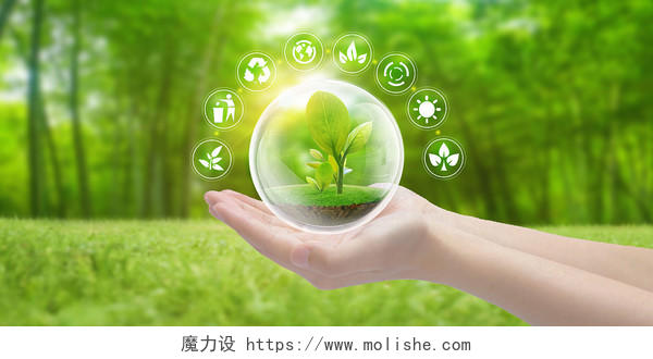绿色创意植物环保绿色发展展板背景